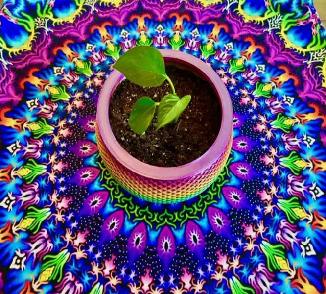 Lattice Planter-Saksı image 4